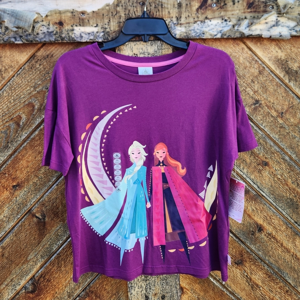 NWT Disney Frozen 2 Brittney Lee Limited Edition Tshirt